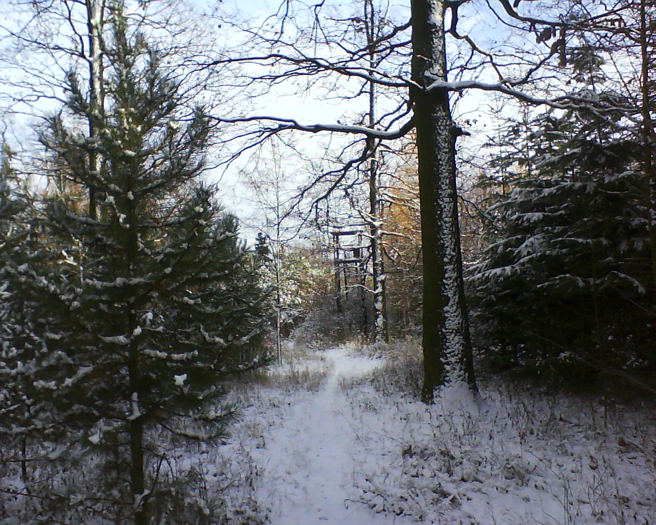 DSC00195.JPG