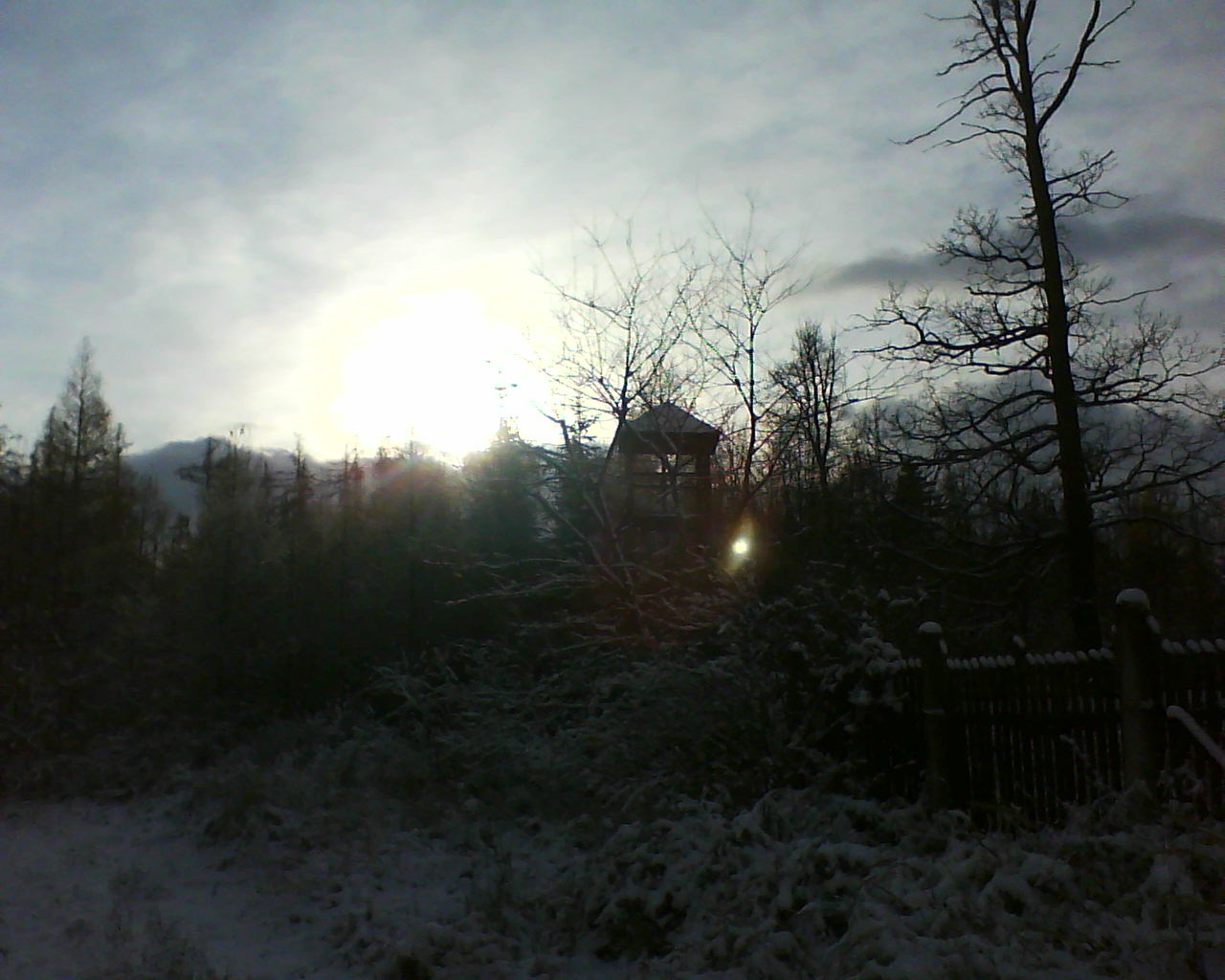 DSC00208.JPG